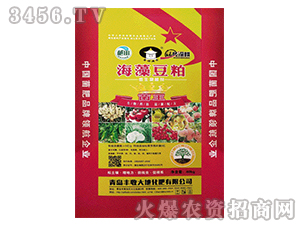 ���嶹��΢�������-�S�մ��