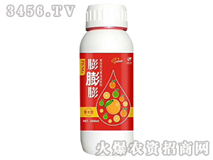 ���������ϑB(t��i)Ԫ��Һ�w���ϣ�-�����