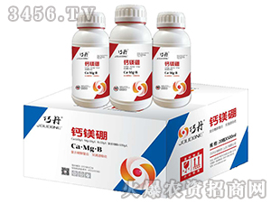 �}�V�𡾽M���b��-�ɵ�-�f��ȵ�