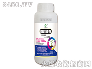 ֲ������-΢�Ҫ�(d��)��-�S�����\(y��n)