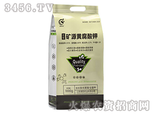 �VԴ�S�����-����r�I(y��)