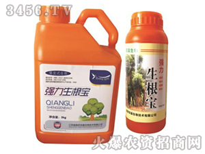 ����������-�p������