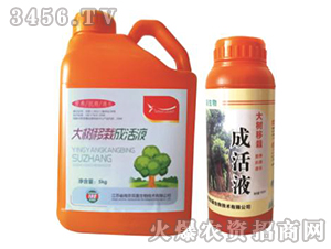 ������Գɻ�Һ-�p������