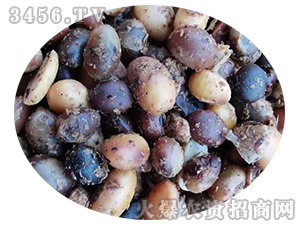 發(fā)酵大豆有機肥-碩果盈枝