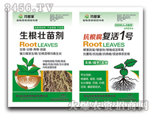 �������焩+��������(f��)��1̖-�|��