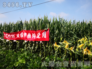 �󾩾�156��һ��-���׷N��-�󾩾�