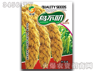 ���ӷN��-�B����-����