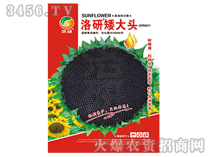 ���տ��N��-���а����^����Ʒ��-����