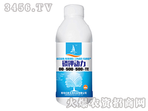 ��⛄���00-500-500+TE-�|��