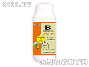 ���w����-�|��