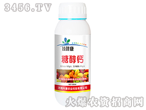 �Ǵ��}-���~��