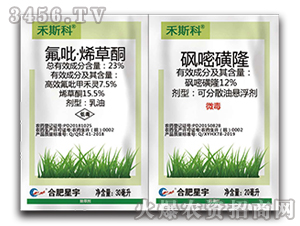 ������ϩ��ͪ+���׻�¡-��˹��-�Ϸ�����