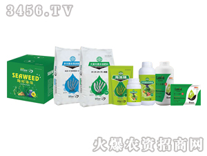 海藻功能特肥-藻哥藻妹-菲爾普斯