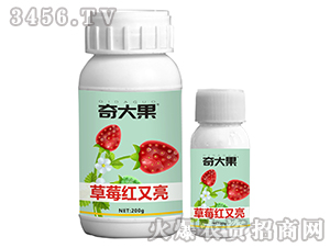 ��ݮ�t����-����-��Ȫ�r�I(y��)