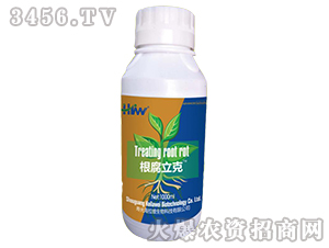 ��������-�����S