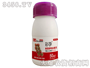 ���ѾG�������`-����-������A