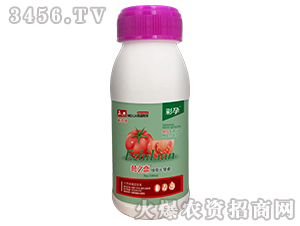 ��֮�٣��G���L���أ�-����-������A