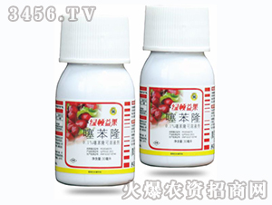 �籽¡-�G�D������󗗌��ã�-�G�D����