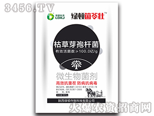 �ݲ�ѿ�ߗU��-�G�D���߉�-�G�D����