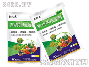 �ЙC����Ч��-�P���