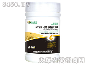 �VԴ���S����⛣�ƿ��-��(r��n)ֲ