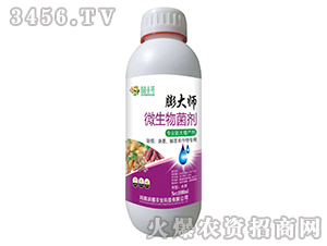 ΢�������-���-��ֲ