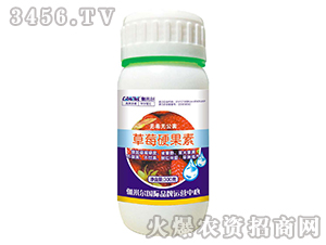 ��ݮӲ����-ľ�̼ь�