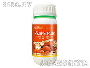 ��ѿ�ֻ���-ľ�̼ь�