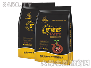 �VԴ�S�����@�S�����-�VԴ��-��������