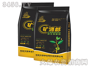 �VԴ�S�����ԭ�ۣ���Ȼ����̼��أ�-�VԴ��-��������