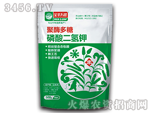 500g��ø������������-���S�f¡