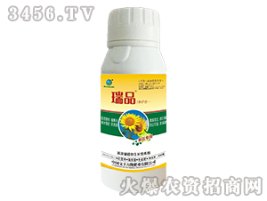 ���������~���-�f¡��Ʒ