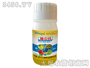 �����\-���S�f¡