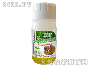 С�������~���-��Ʒ-���S�f¡ 