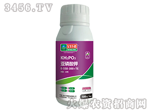 500ml�������0-550-300+TE-���S�f(w��n)¡