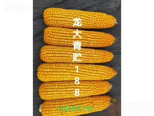 �������A188-���׷N��-����N�I(y��)