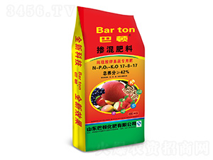 ������⛹��ߌ��÷�17-8-17-���D