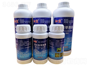 �ɹ�نΰ�����ƿ��-��(x��)�t-�r(n��ng)��