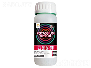 �������-�֠���(l��)