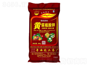 ��ꖌ�ϵ���S��ֲ����ЙC(j��)����-��������