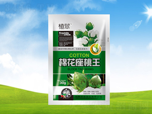 �޻�������-ֲ��-�S�r(n��ng)�r(n��ng)��