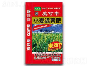 С�������-�����S