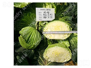 �ݸ�1665-���{�N��-������