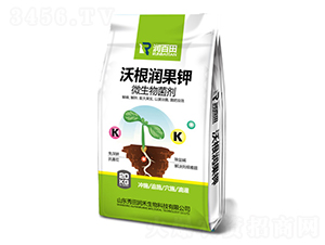 20kg�ָ������-�����