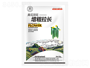 �S��픻��������L-�ۃ|�r(n��ng)����