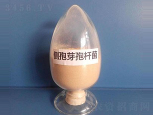 ��(c��)��ѿ�ߗU�����ۄ���-��������