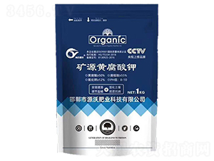 �VԴ�S�����-���|�ʘI(y��)