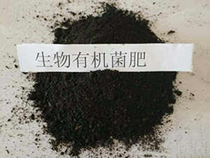 �����ЙC(j��)����-���|�ʘI(y��)