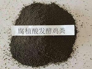 �l(f��)���u�S-���|�ʘI(y��)