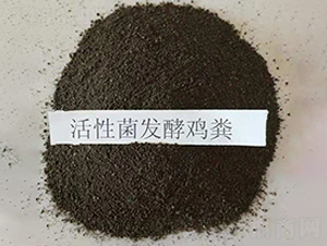 ���Ծ��l(f��)���u�S-���|�ʘI(y��)